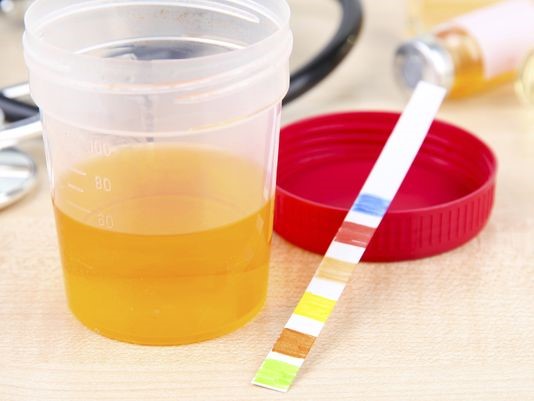 Synthetic Urine For Drug Test Pass Arlington VA 22234
